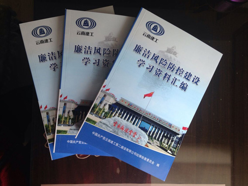 公司《廉潔風(fēng)險(xiǎn)防控建設(shè)學(xué)習(xí)資料匯編》正式印發(fā)