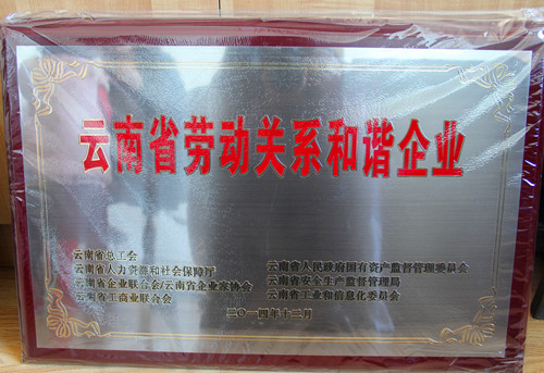 公司獲省總工會(huì)勞動(dòng)關(guān)系和諧企業(yè)表彰
