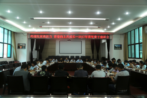 跨越發(fā)展敢擔(dān)當(dāng)，青春向上共成長—公司召開2017年青年骨干座談會(huì)