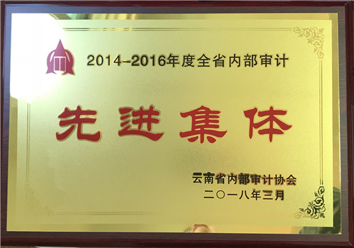 公司審計(jì)部和公司職工獲省內(nèi)部審計(jì)協(xié)會表彰