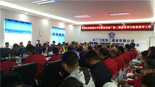 王曉方率檢查組到滇池明珠廣場二期項目檢查工作并講黨課