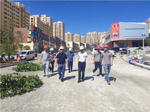 陳定華到鎮(zhèn)雄易地扶貧搬遷項(xiàng)目呢嚕坪大橋調(diào)研