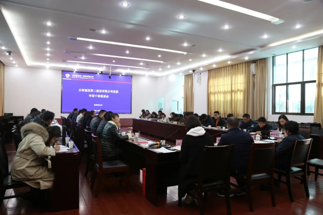 【公司要聞】只有創(chuàng)造價(jià)值，青春才是資本——公司黨委召開年輕干部座談會(huì)