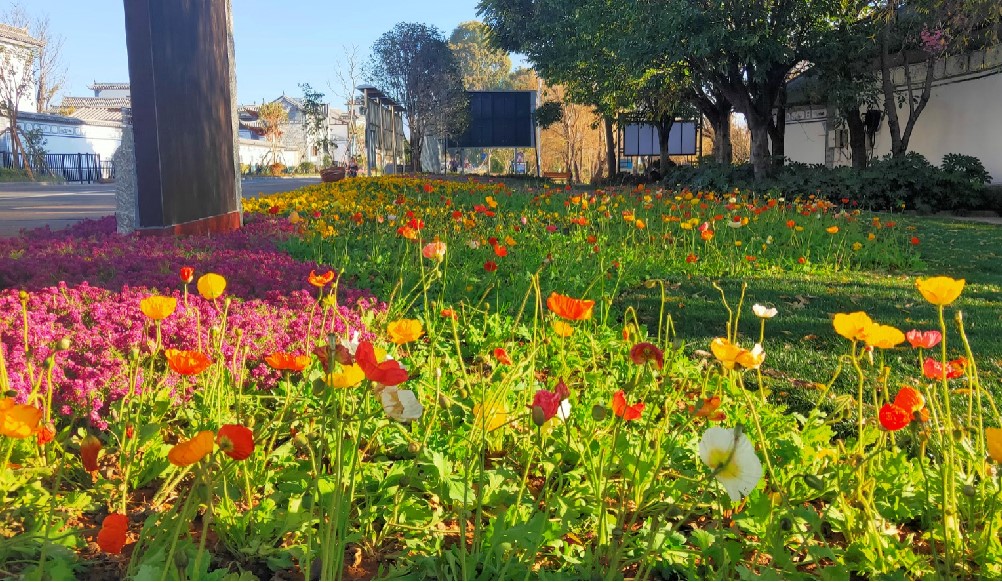 滇池明珠項(xiàng)目