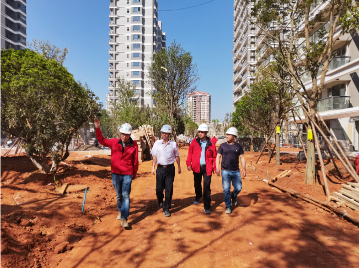 【調(diào)研檢查】陳定華調(diào)研晉寧區(qū)項(xiàng)目