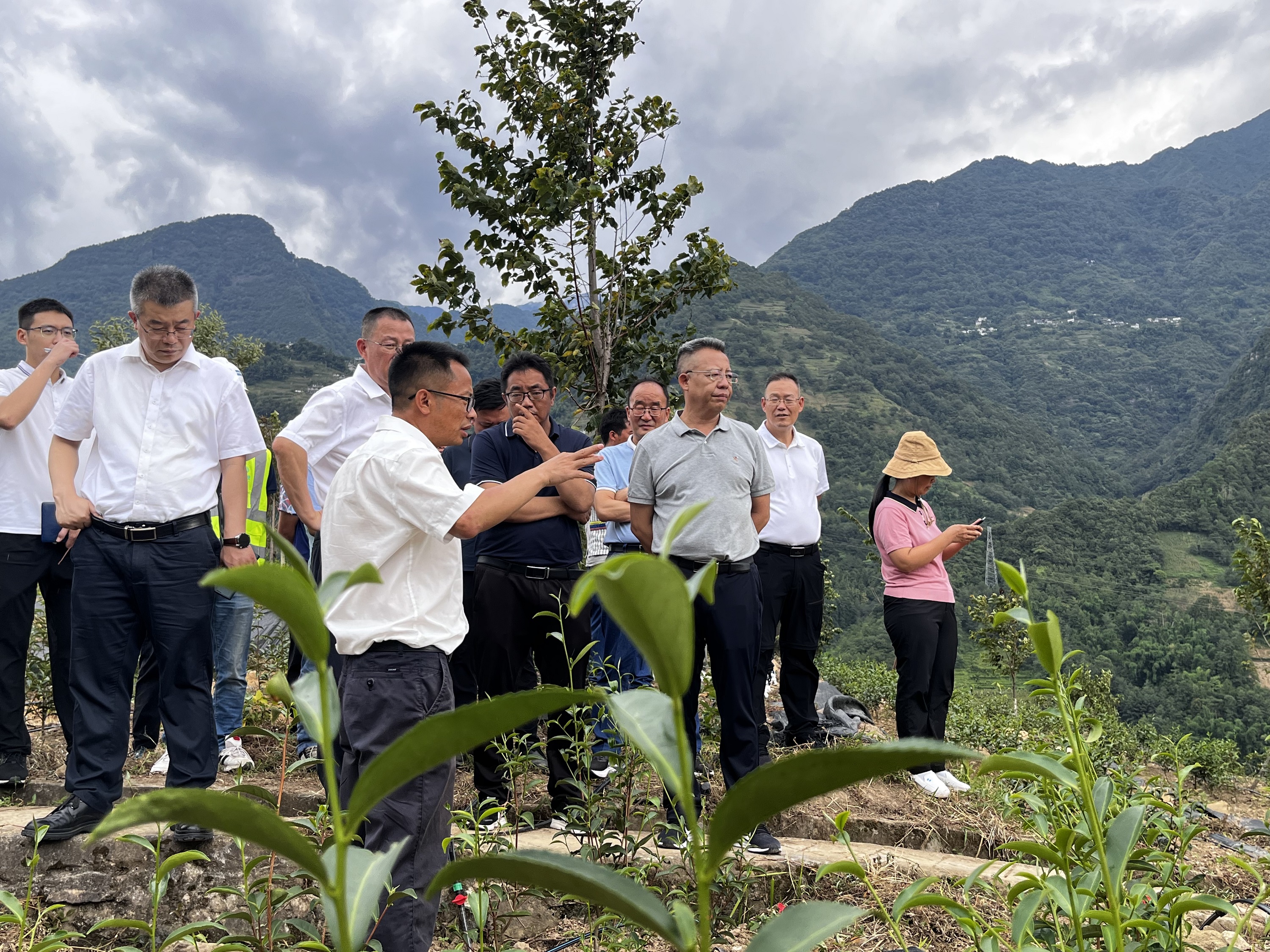 【調(diào)研檢查】怒江州州委副書記、州長李文輝到鹿馬登鄉(xiāng)小康村建設(shè)項(xiàng)目調(diào)研指導(dǎo)工作