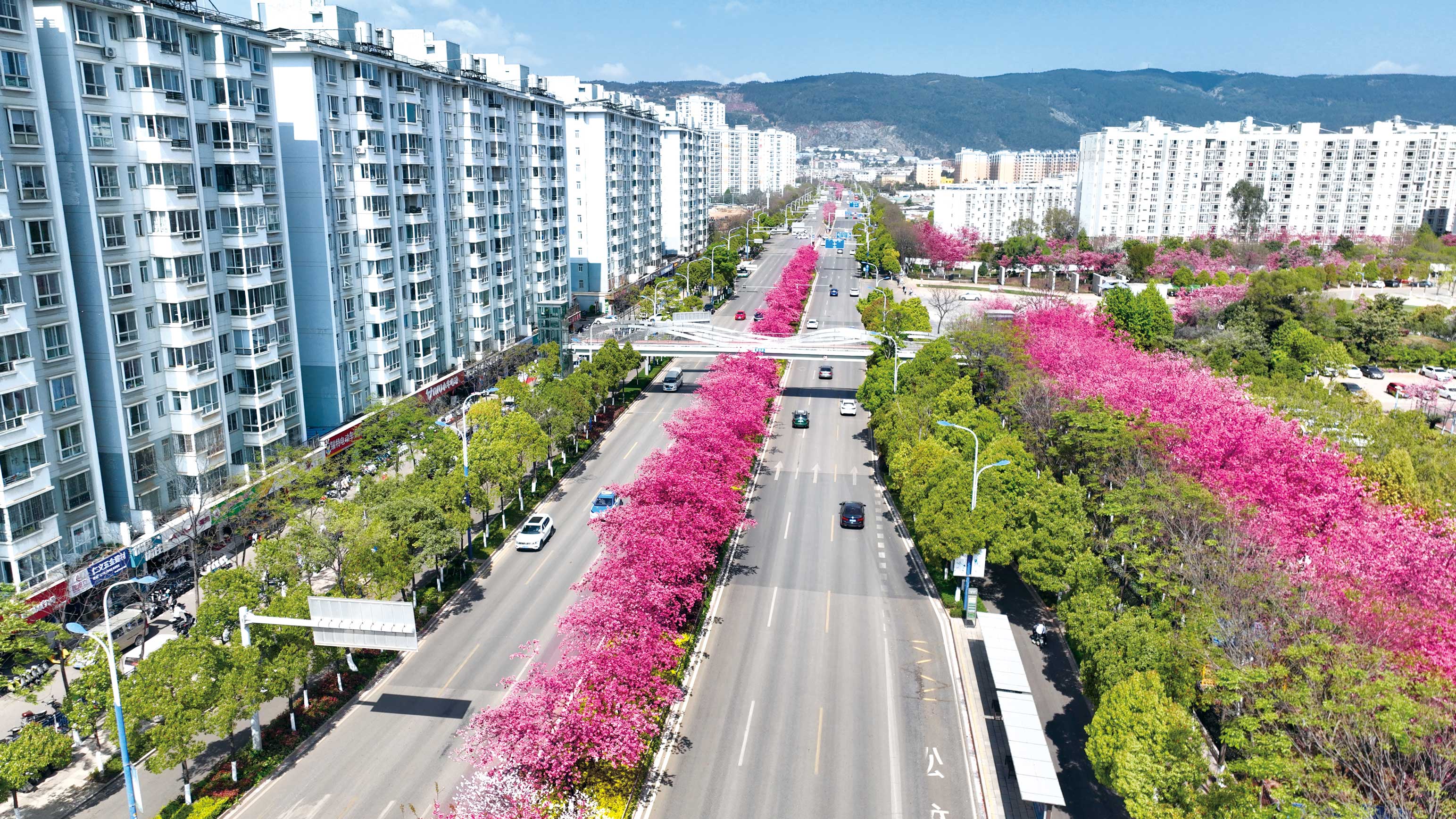 全國市政金杯-昆明市灃源路（7204道路）改擴建工程
